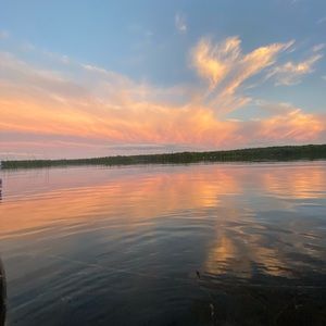 Meet your Posher, Nolan